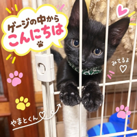画像1716