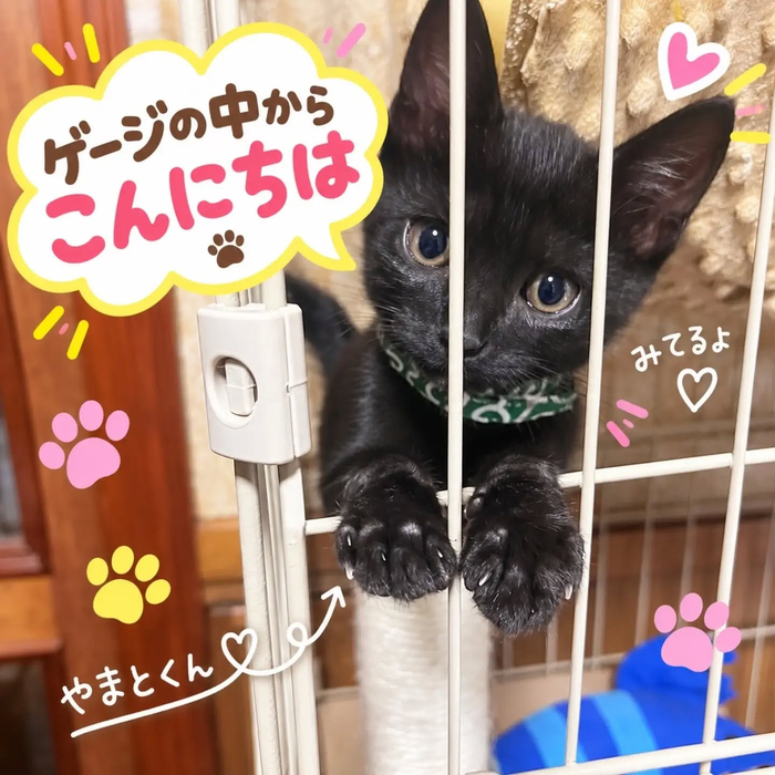 画像1716